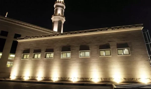 NELSON-A24 - Image 2